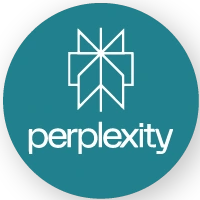 Perplexity